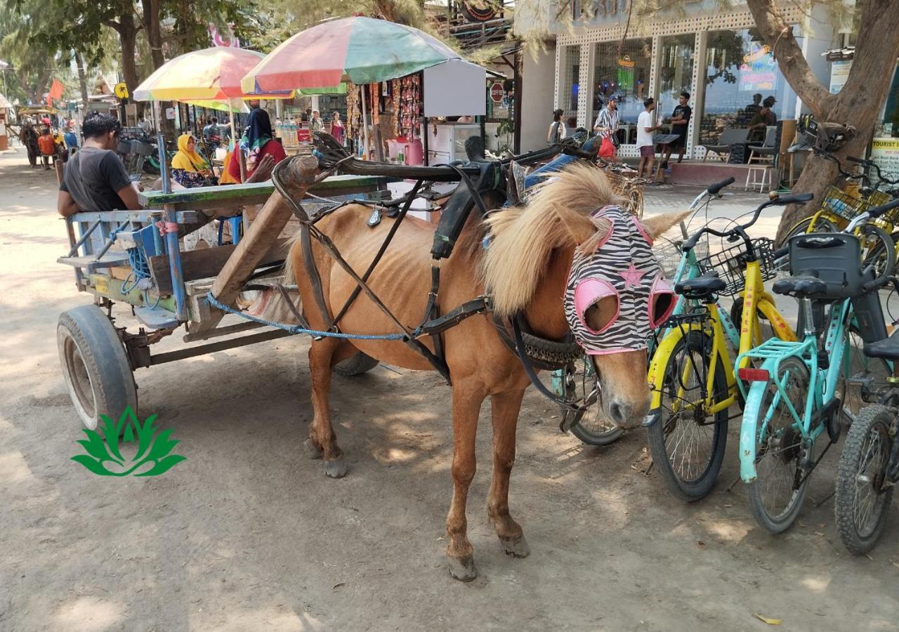 فندق Energy Melati Gili غيلي تراوانغان المظهر الخارجي الصورة